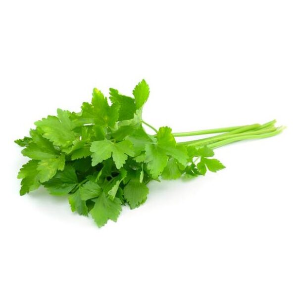 Coriander Bunch ( धनिया पत्ता ) 100g